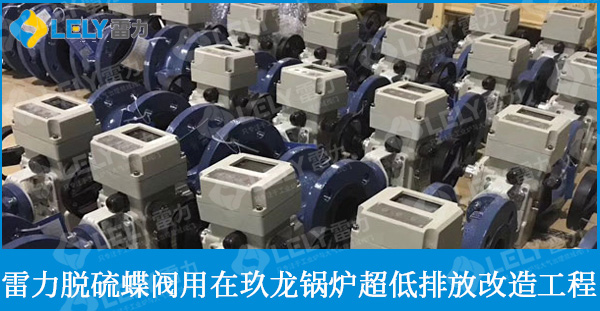 四川玖龍紙業(yè)（樂山）有限公司—脫硫蝶閥