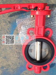 D71X對夾軟密封蝶閥