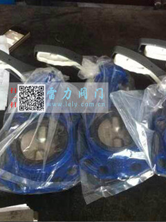 1.4529\2507型脫硝蝶閥