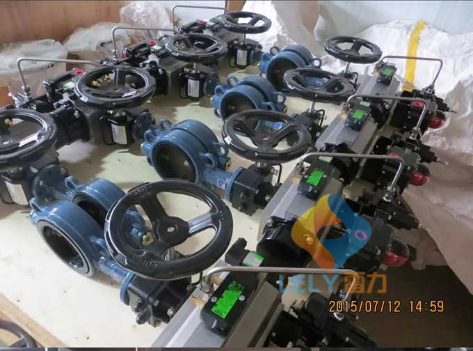 華電青島發(fā)電廠-氨用截止閥