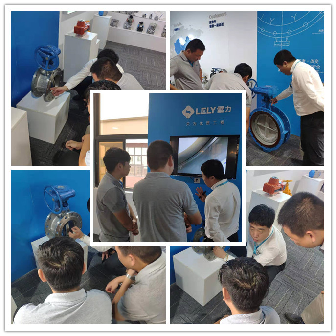 熱烈歡迎南通某環(huán)保公司領(lǐng)導(dǎo)蒞臨雷力考察