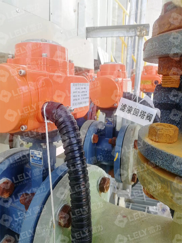 脫硫蝶閥,脫硫?qū)S玫y,雷力脫硫蝶閥