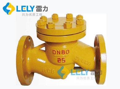 雷力氨用止回閥.jpg