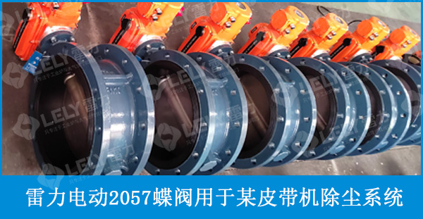 雷力電動(dòng)2057蝶閥用于某皮帶機(jī)除塵系統(tǒng)